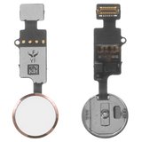 Шлейф для iPhone 7, iPhone 7 Plus, iPhone 8, iPhone 8 Plus, iPhone SE 2020, кнопки Home, розовый, с пластиком, без сканера отпечатков пальцев (без Touch ID), YF, 4th gen